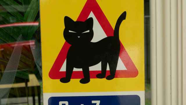 Comique de situation